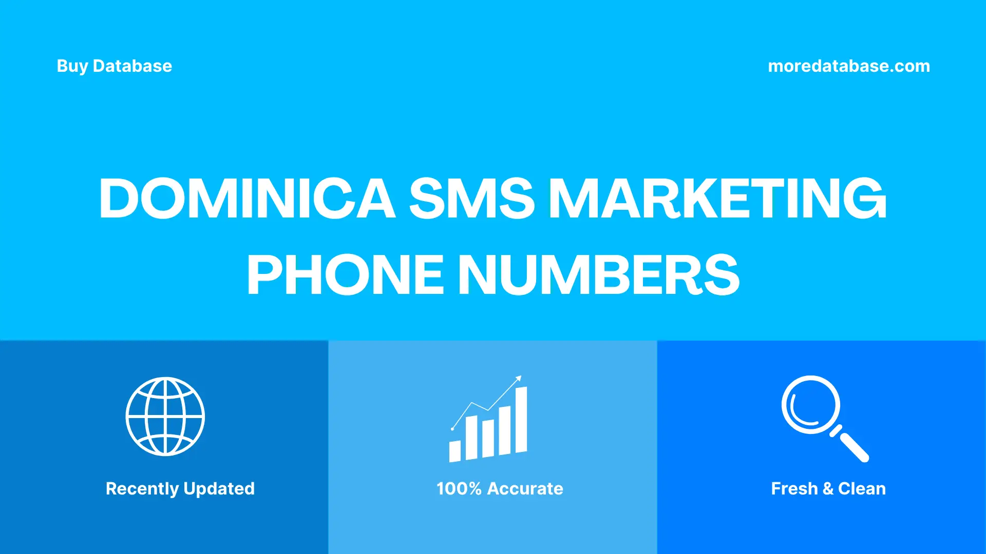 Dominica SMS Marketing Phone Numbers